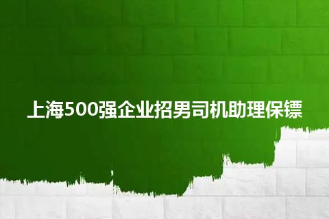 上海500强企业招男司机助理保镖