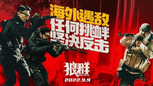 海外“私人保安小队”,在战乱之地为国家利益保驾护航