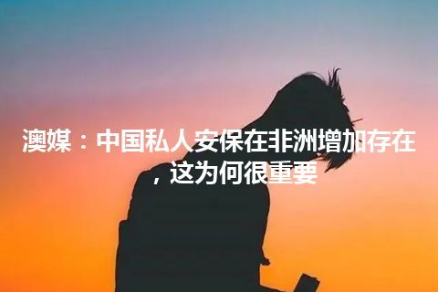 澳媒：中国私人安保在非洲增加存在，这为何很重要