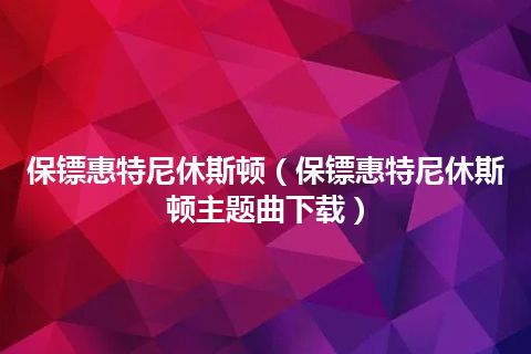 保镖惠特尼休斯顿(保镖惠特尼休斯顿主题曲下载)