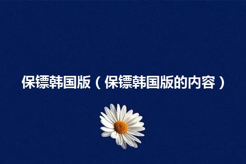 保镖韩国版(保镖韩国版的内容)