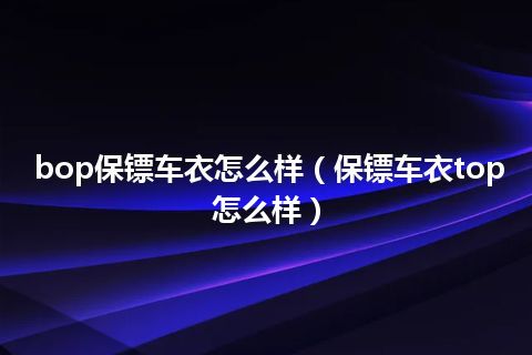 bop保镖车衣怎么样(保镖车衣top怎么样)