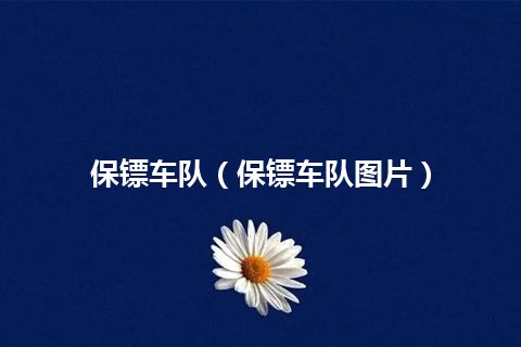 保镖车队(保镖车队图片)