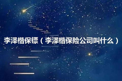 李泽楷保镖(李泽楷保险公司叫什么)