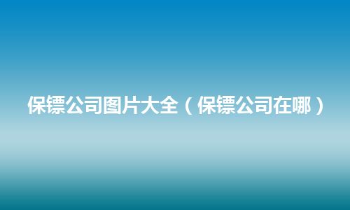 保镖公司图片大全(保镖公司在哪)