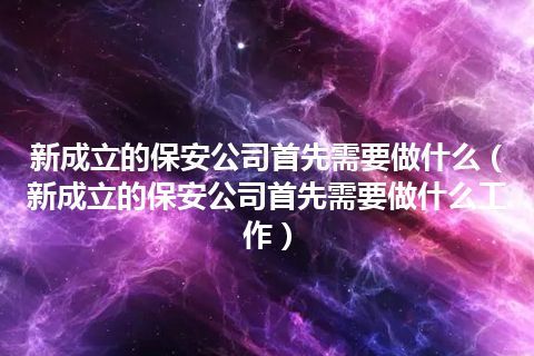 新成立的保安公司首先需要做什么(新成立的保安公司首先需要做什么工作)