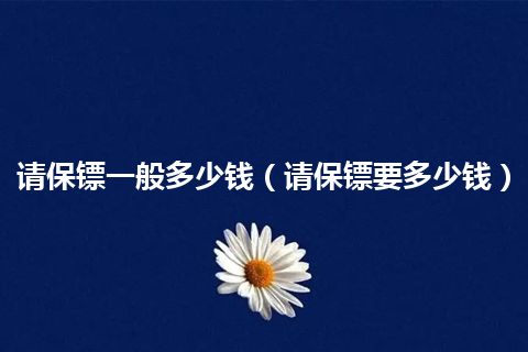 请保镖一般多少钱(请保镖要多少钱)