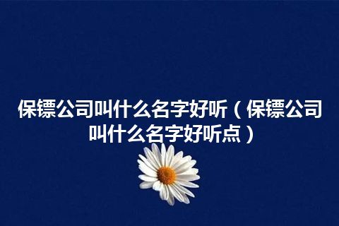 保镖公司叫什么名字好听(保镖公司叫什么名字好听点)