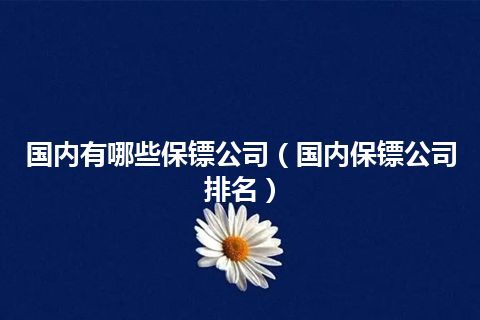 国内有哪些保镖公司(国内保镖公司排名)