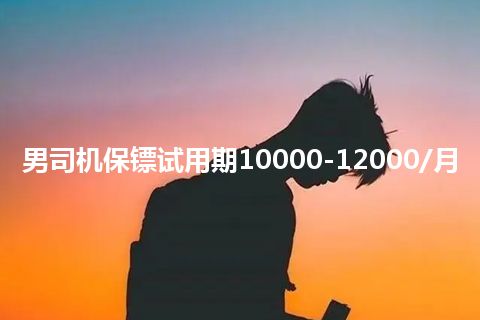 男司机保镖试用期10000-12000/月