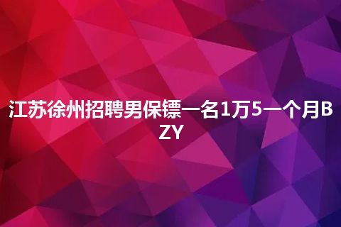 江苏徐州招聘男保镖一名1万5一个月BZY