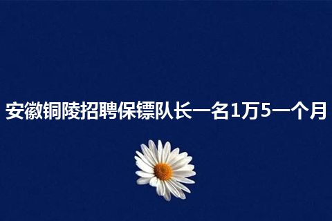 安徽铜陵招聘保镖队长一名1万5一个月