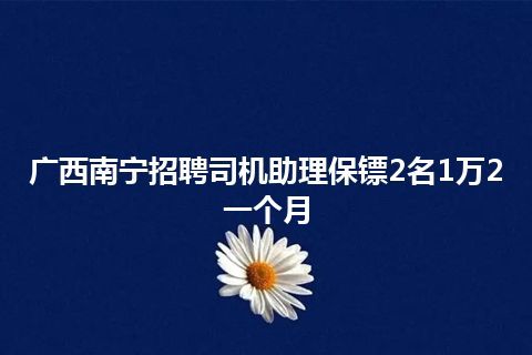 广西南宁招聘司机助理保镖2名1万2一个月