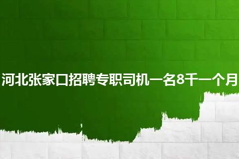 河北张家口招聘专职司机一名8千一个月