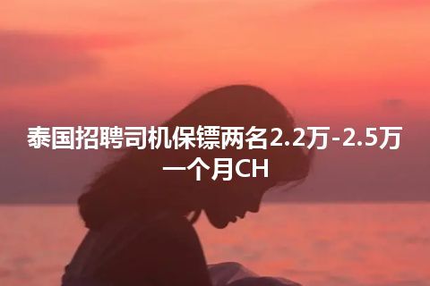 泰国招聘司机保镖两名2.2万-2.5万一个月CH