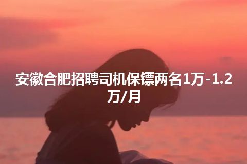 安徽合肥招聘司机保镖两名1万-1.2万/月