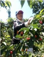 成都KY开元国际化工科技开发有限公司