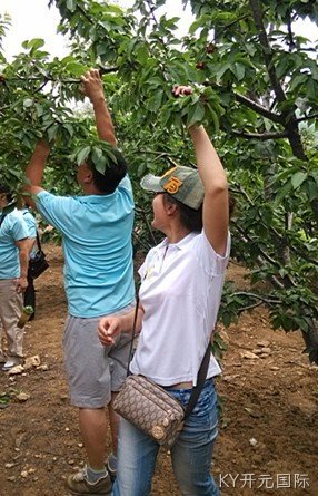 成都KY开元国际化工科技开发有限公司